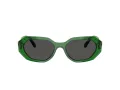 Swarovski SK 6028 106487 54 Women sunglasses
