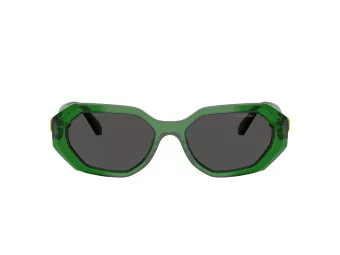 Swarovski SK 6028 106487 54 Women sunglasses