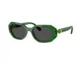 Swarovski SK 6028 106487 54 Women sunglasses