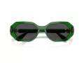 Swarovski SK 6028 106487 54 Women sunglasses