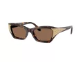 Swarovski SK 6029 100273 53 Women sunglasses