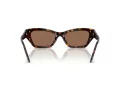 Swarovski SK 6029 100273 53 Women sunglasses