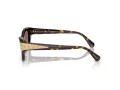 Swarovski SK 6029 100273 53 Women sunglasses
