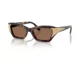 Swarovski SK 6029 100273 53 Women sunglasses
