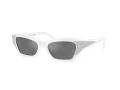 Swarovski SK 6029 10506G 50 Women sunglasses