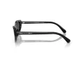 Swarovski SK 6030 100187 52 Women sunglasses
