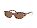 Swarovski SK 6030 104073 52 Women sunglasses