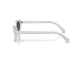 Swarovski SK 6030 106087 52 Women sunglasses