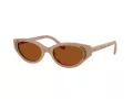 Swarovski SK 6030 106173 52 Women sunglasses