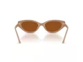 Swarovski SK 6030 106173 52 Women sunglasses