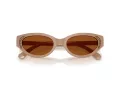 Swarovski SK 6030 106173 52 Women sunglasses