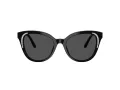 Swarovski SK 6031 100187 53 Women sunglasses