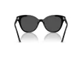 Swarovski SK 6031 100187 53 Women sunglasses