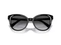 Swarovski SK 6031 1001T3 53 Women sunglasses