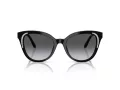 Swarovski SK 6031 1001T3 53 Women sunglasses