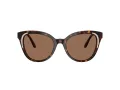 Swarovski SK 6031 100273 53 Women sunglasses