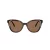 Swarovski SK 6031 100273 53 Women sunglasses