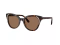 Swarovski SK 6031 100273 53 Women sunglasses