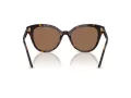 Swarovski SK 6031 100273 53 Women sunglasses