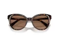 Swarovski SK 6031 100273 53 Women sunglasses