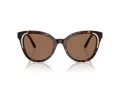 Swarovski SK 6031 100273 53 Women sunglasses