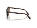 Swarovski SK 6031 100273 53 Women sunglasses