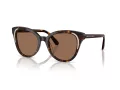 Swarovski SK 6031 100273 53 Women sunglasses