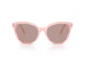 Swarovski SK 6031 10317N 53 Women sunglasses