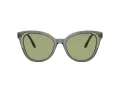 Swarovski SK 6031 104382 53 Women sunglasses