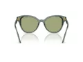 Swarovski SK 6031 104382 53 Women sunglasses
