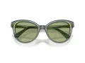 Swarovski SK 6031 104382 53 Women sunglasses