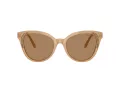 Swarovski SK 6031 2002M4 53 Women sunglasses