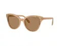 Swarovski SK 6031 2002M4 53 Women sunglasses