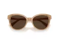 Swarovski SK 6031 2002M4 53 Women sunglasses