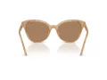 Swarovski SK 6031 2002M4 53 Women sunglasses