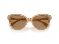Swarovski SK 6031 2002M4 53 Women sunglasses