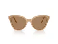 Swarovski SK 6031 2002M4 53 Women sunglasses