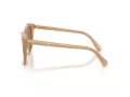 Swarovski SK 6031 2002M4 53 Women sunglasses