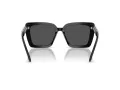 Swarovski SK 6032 100187 55 Women sunglasses