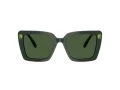 Swarovski SK 6032 102671 55 Women sunglasses