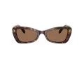 Swarovski SK 6033 100273 54 Women sunglasses