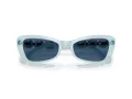 Swarovski SK 6033 102455 54 Women sunglasses