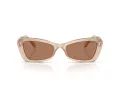 Swarovski SK 6033 106673 54 Women sunglasses