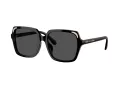 Swarovski SK 6034D 100187 56 Women sunglasses