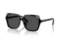 Swarovski SK 6034D 100187 56 Women sunglasses