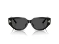 Swarovski SK 6035D 100187 54 Women sunglasses