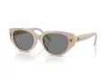 Swarovski SK 6035D 106887 54 Women sunglasses