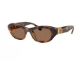 Swarovski SK 6036U 100273 50 Women sunglasses