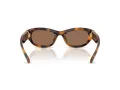 Swarovski SK 6036U 100273 50 Women sunglasses