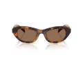 Swarovski SK 6036U 100273 50 Women sunglasses
